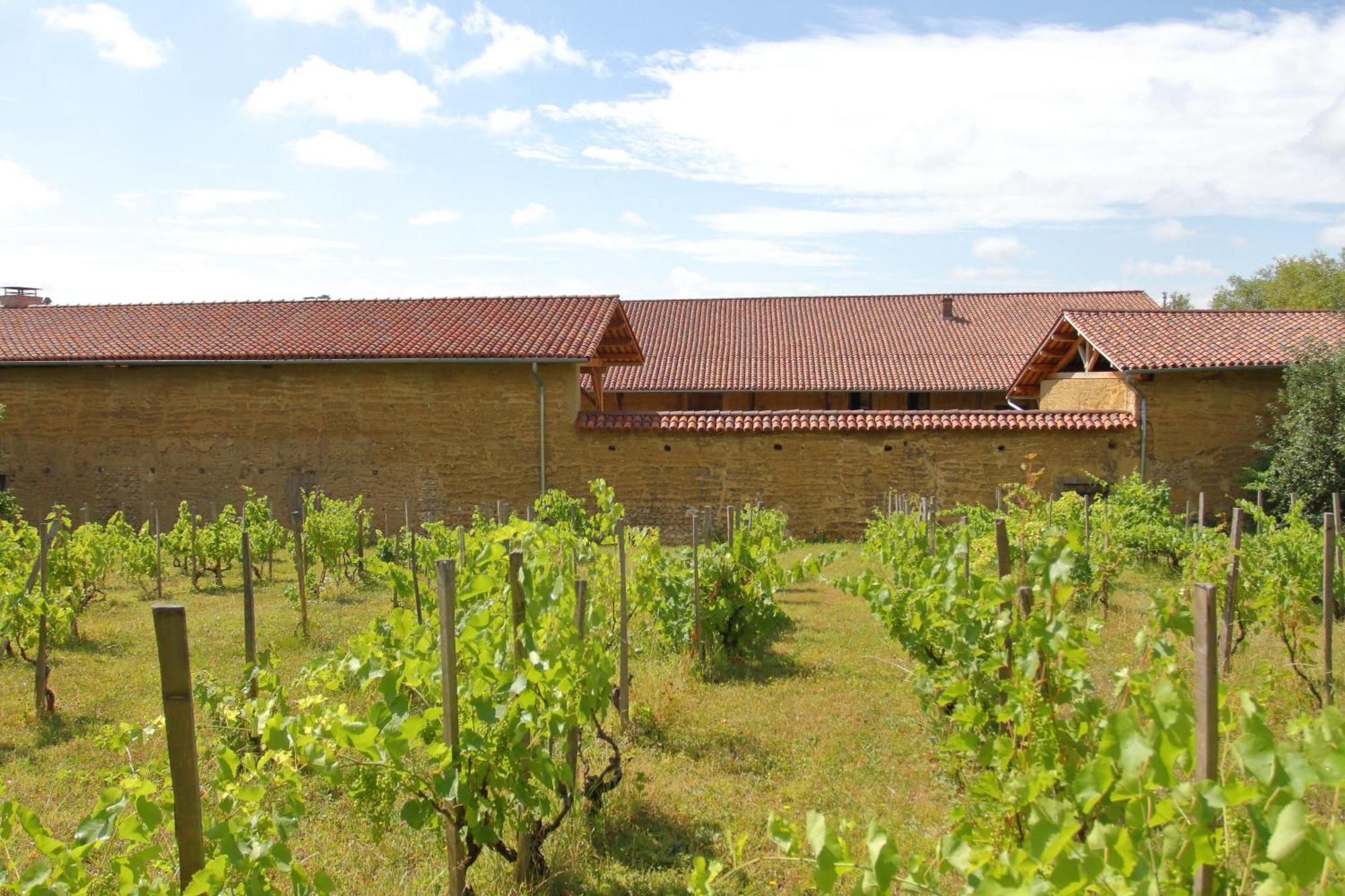 La Ferme De Berlioz Aparthotel La Cote-Saint-Andre Exterior foto